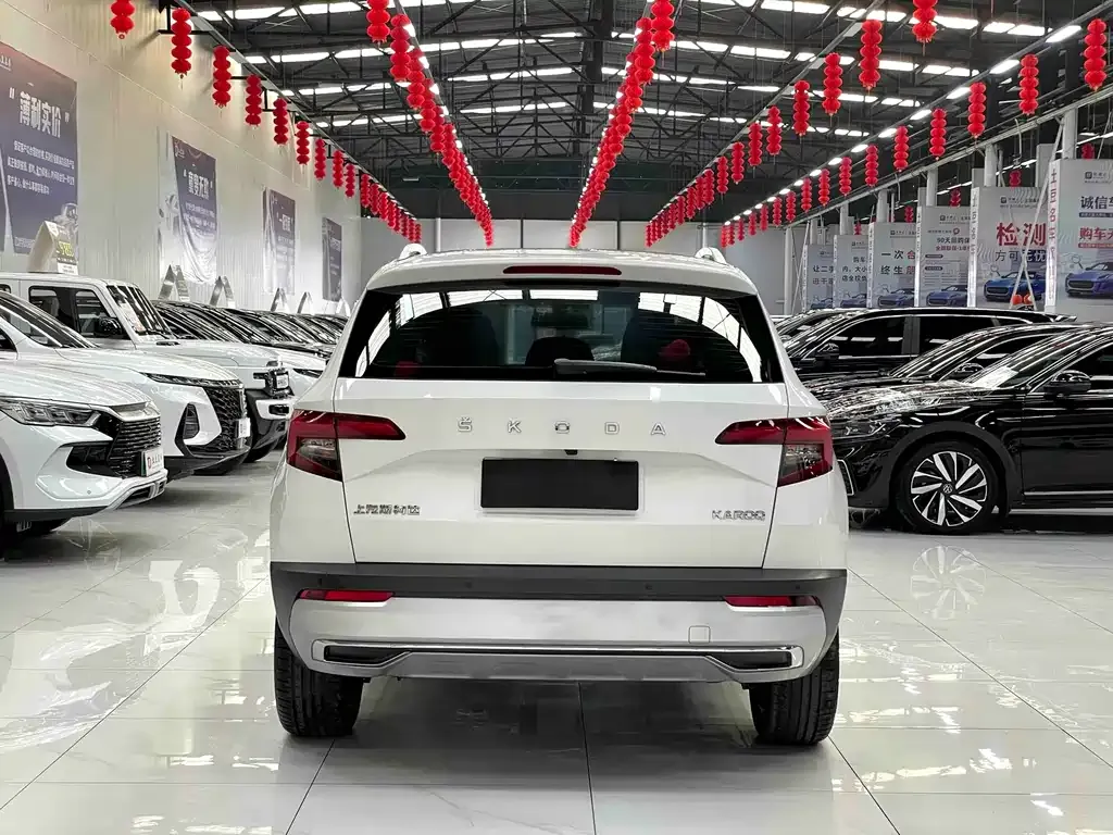 Skoda Karoq 2021 из CN, фото 8