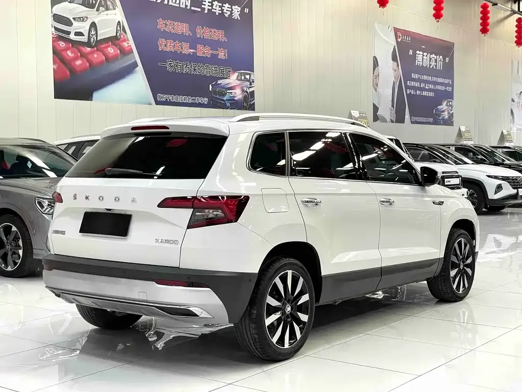 Skoda Karoq 2021 из CN, фото 10
