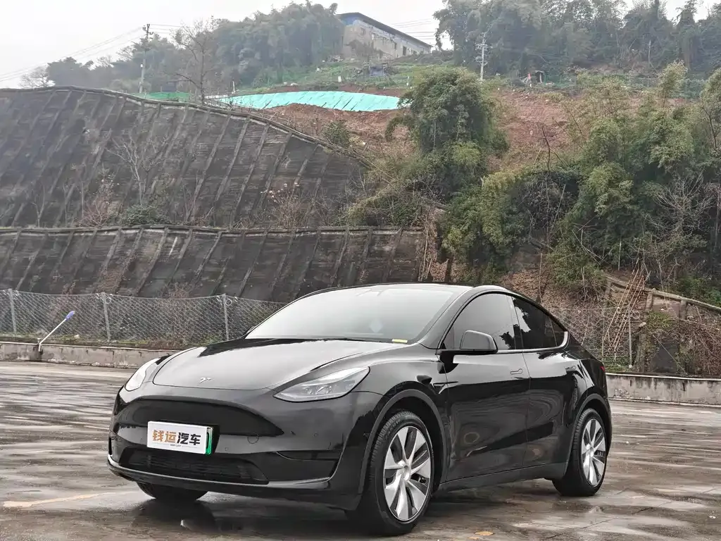 Tesla Model Y — фото 1