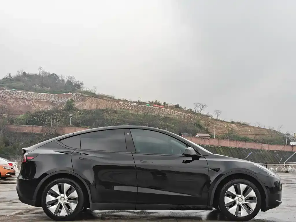 Tesla Model Y — фото 10