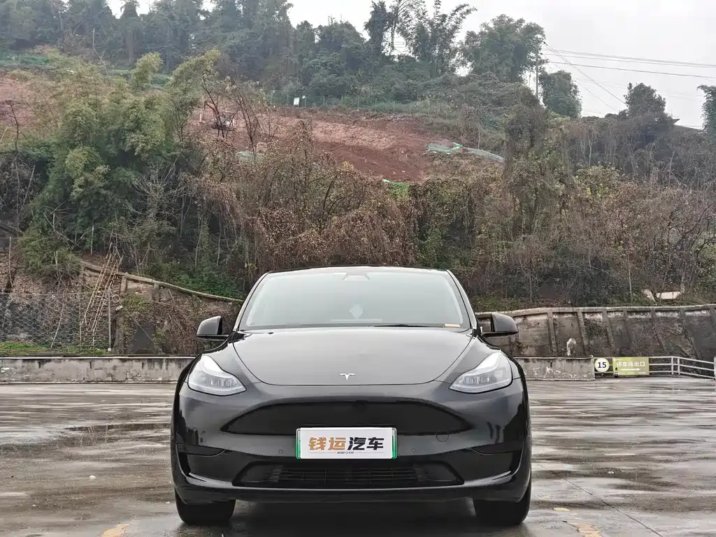 Tesla Model Y — фото 7