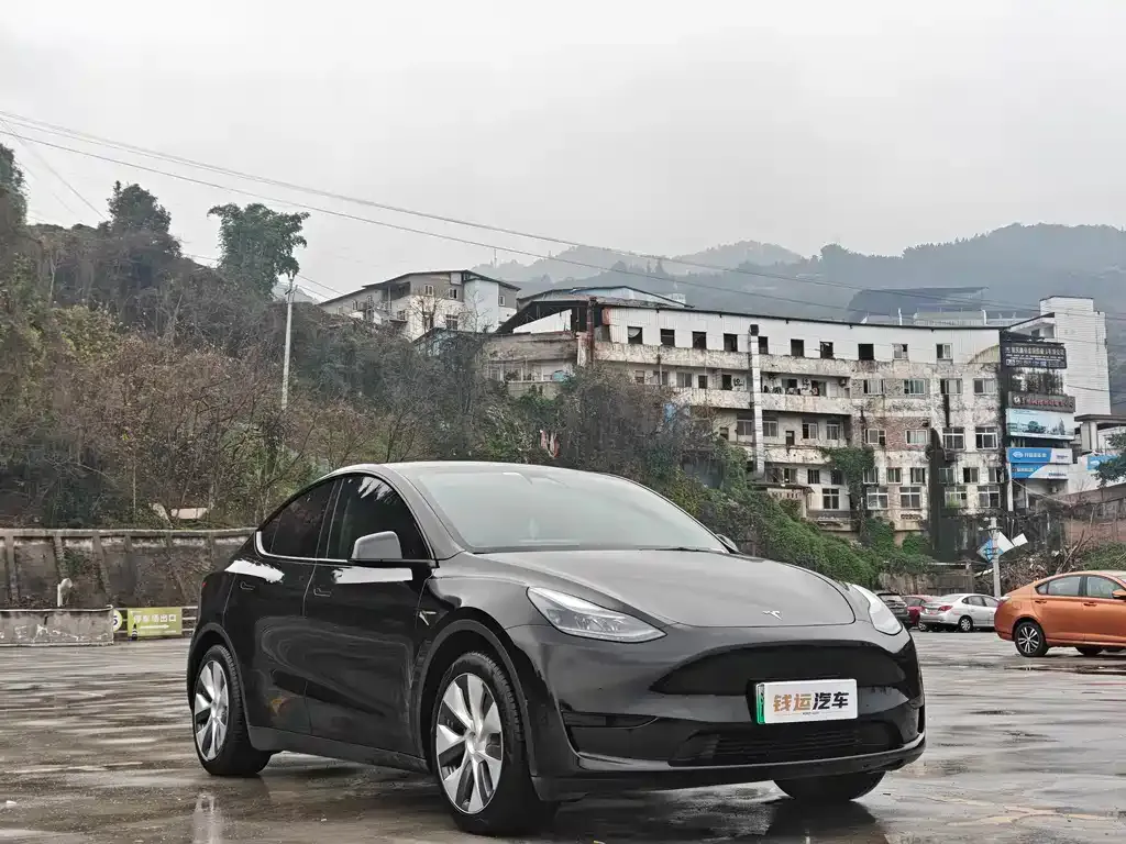 Tesla Model Y — фото 8