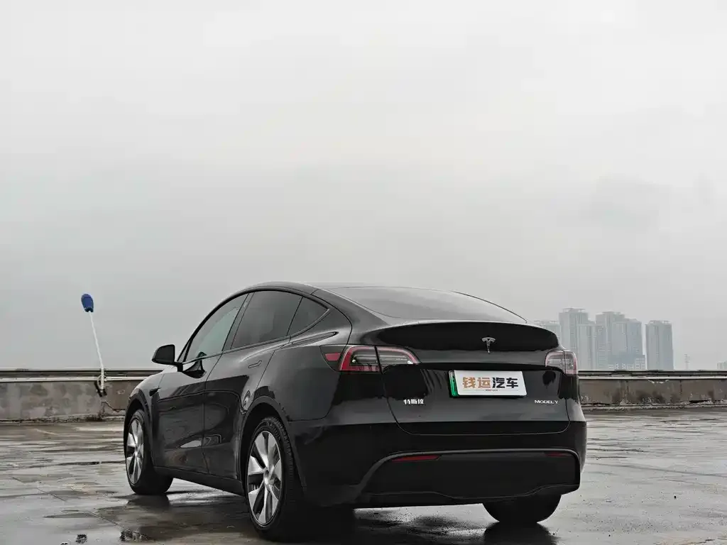 Tesla Model Y — фото 4