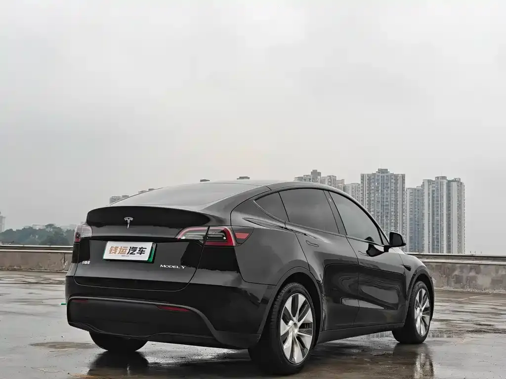 Tesla Model Y — фото 3