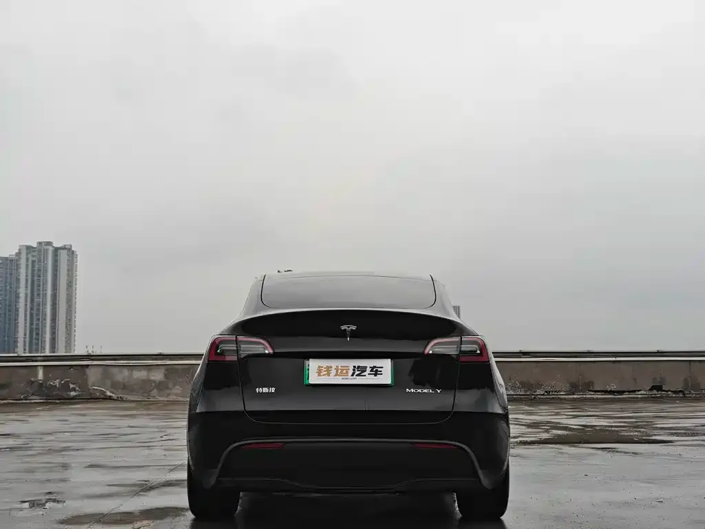 Tesla Model Y — фото 5