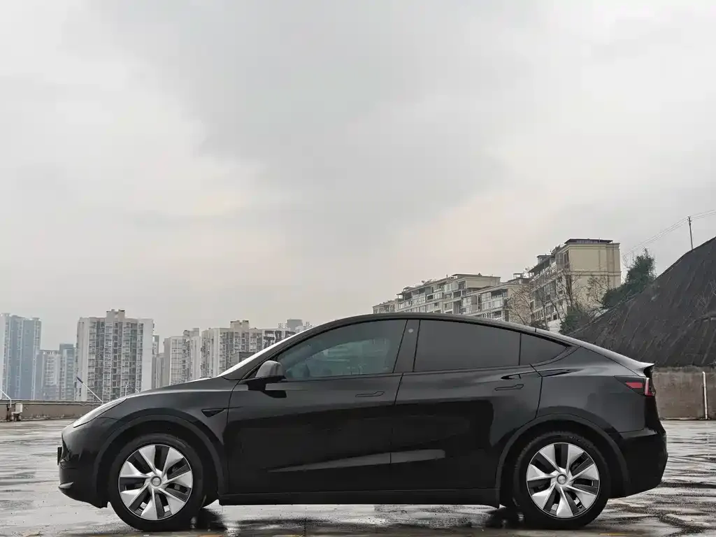 Tesla Model Y — фото 6