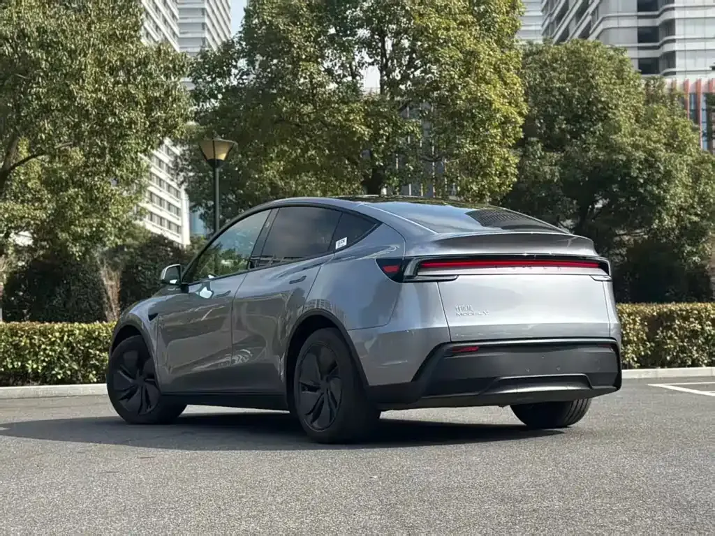 Tesla Model Y — фото 9