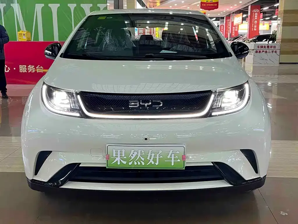 BYD Dolphin 2025 из CN, фото 9