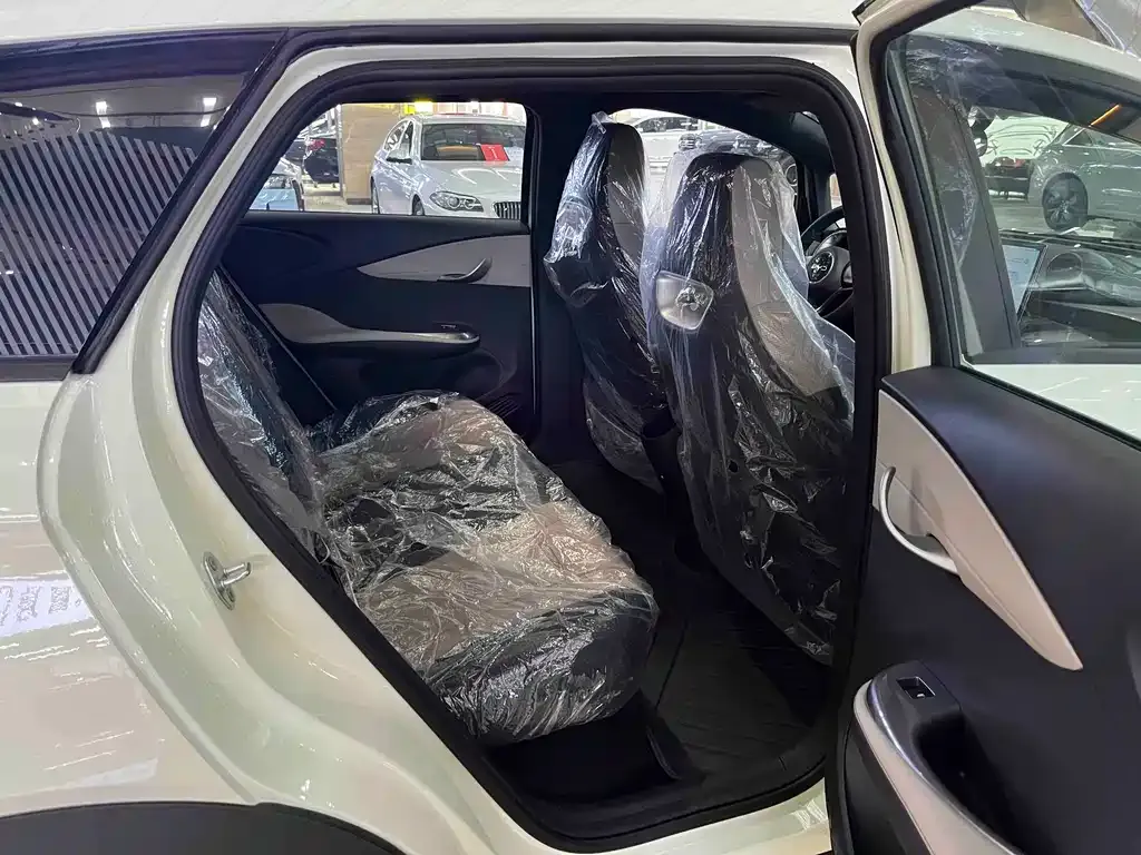 BYD Dolphin 2025 из CN, фото 4