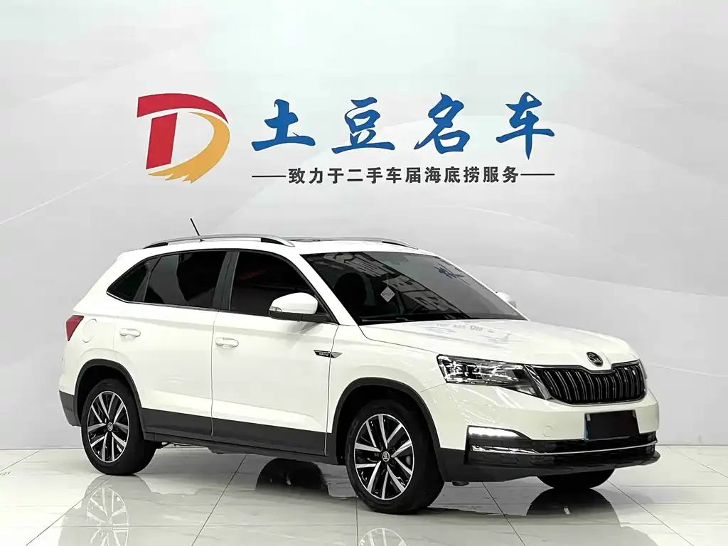 Skoda Kamiq 2021 из CN, фото 5