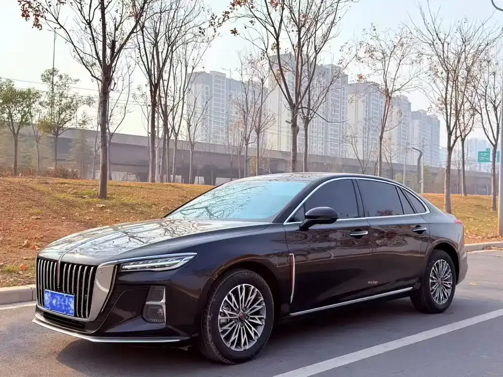 Hongqi H5 2023 из CN, фото 1