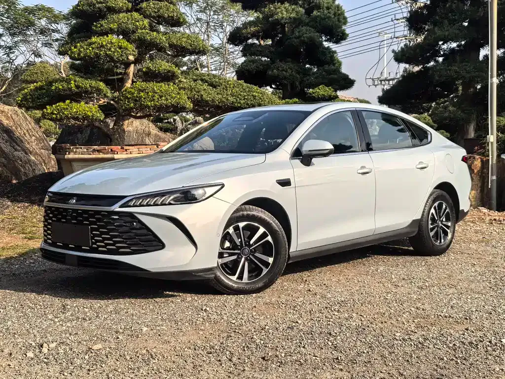 BYD Qin PLUS 2025 из CN, фото 1