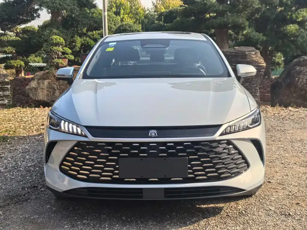BYD Qin PLUS 2025 из CN, фото 2