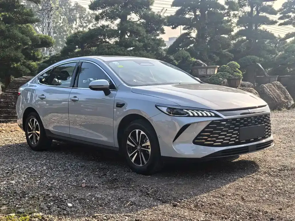 BYD Qin PLUS 2025 из CN, фото 8