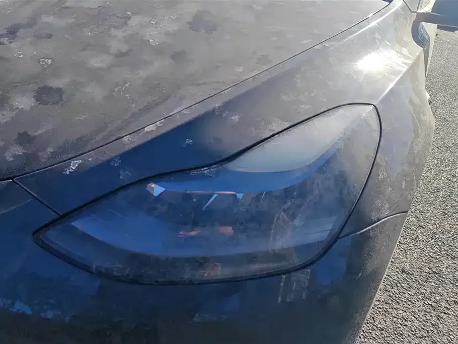 Tesla Model Y 2024 из CN, фото 3