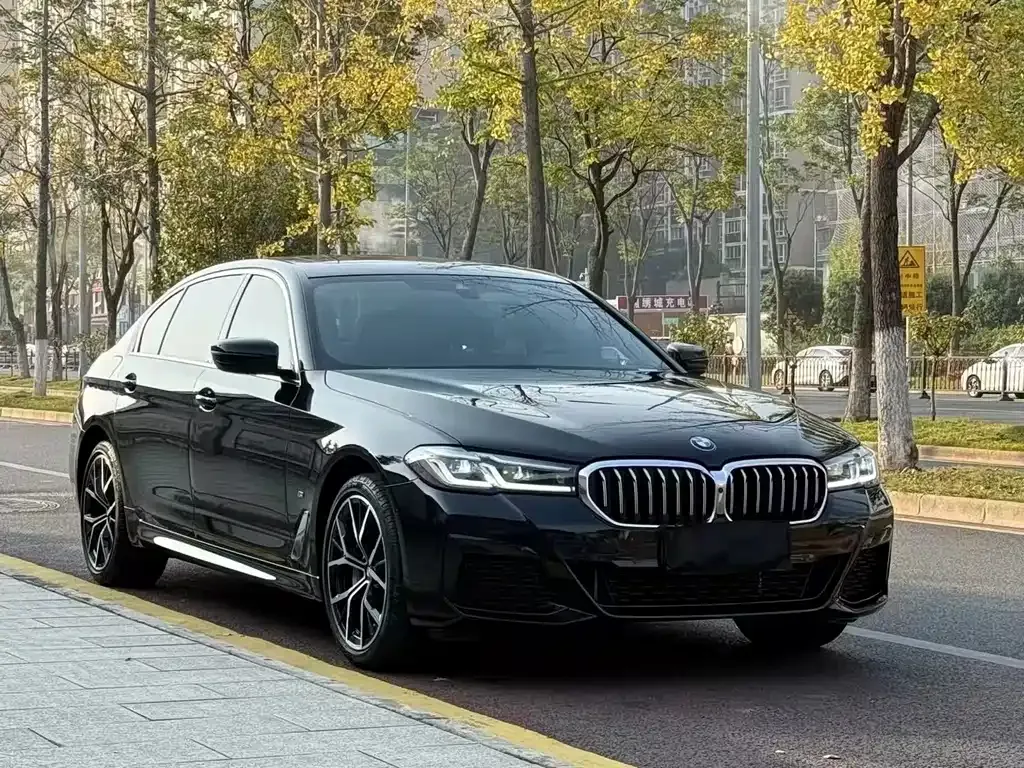 BMW 5 Series 2021 из CN, фото 5