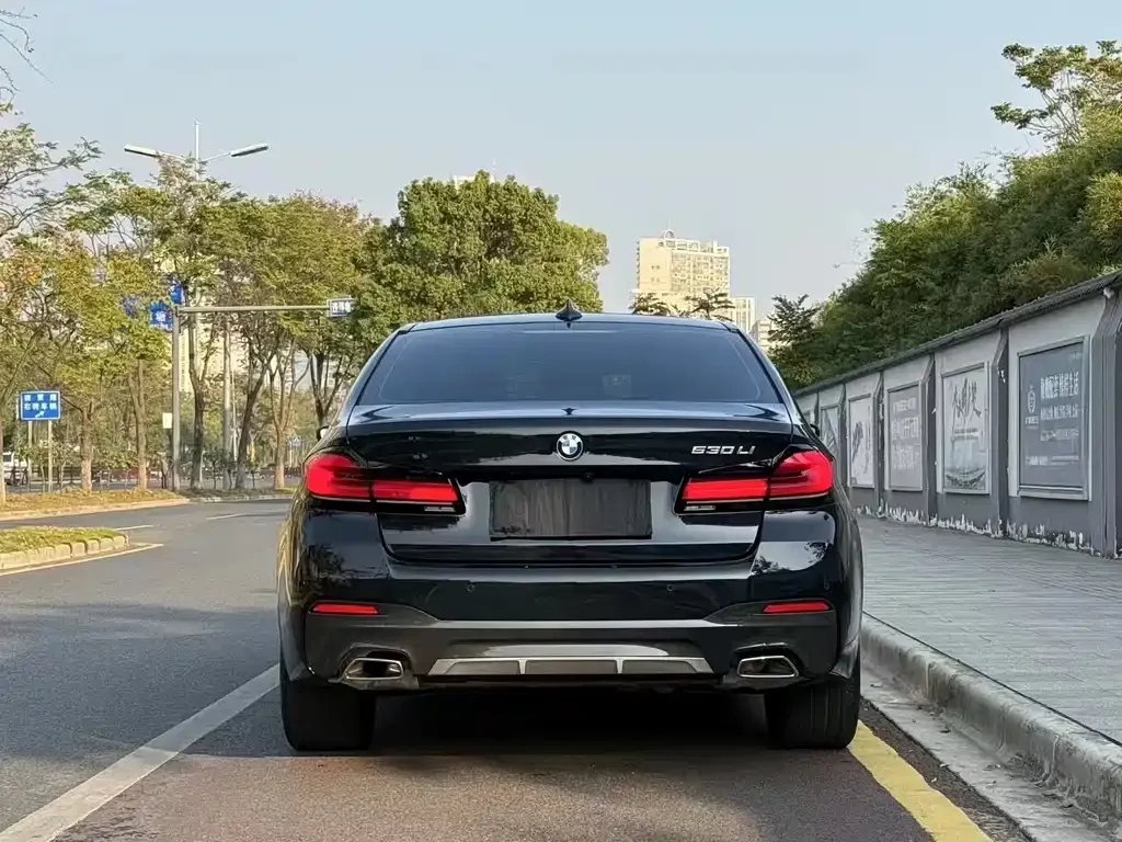 BMW 5 Series 2021 из CN, фото 8