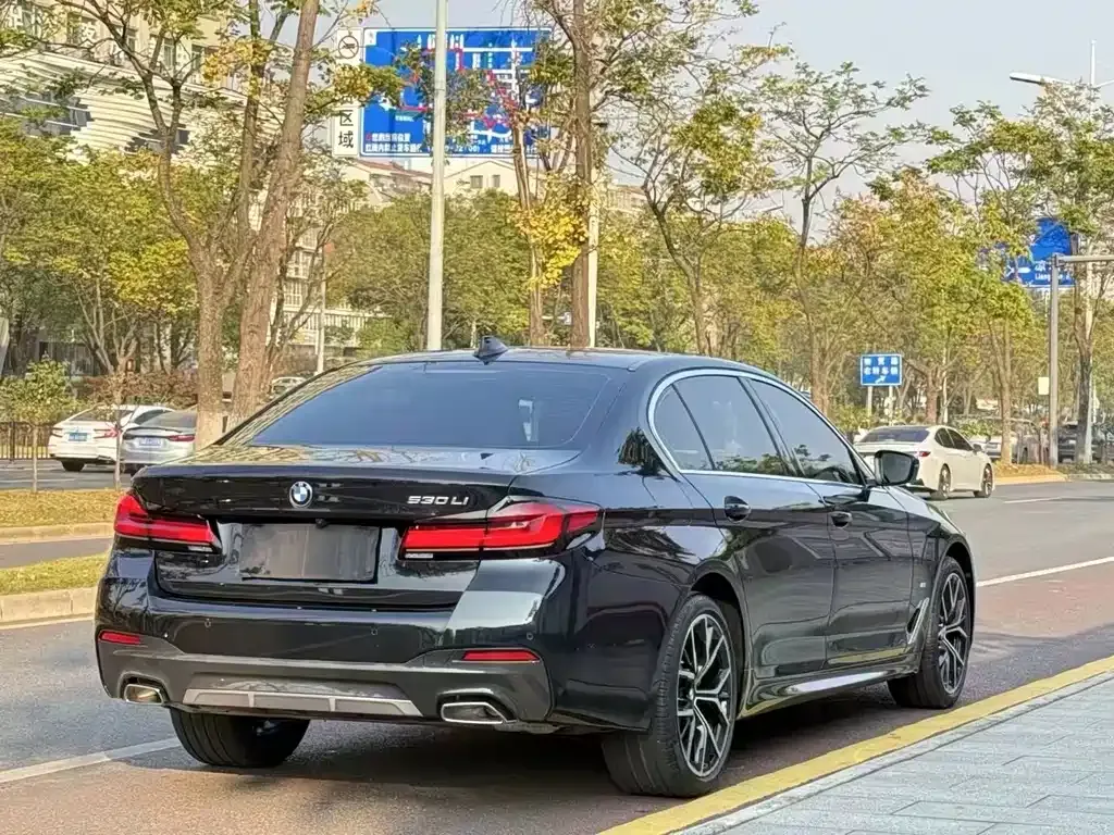 BMW 5 Series 2021 из CN, фото 9