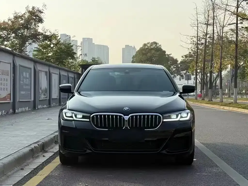 BMW 5 Series 2021 из CN, фото 2