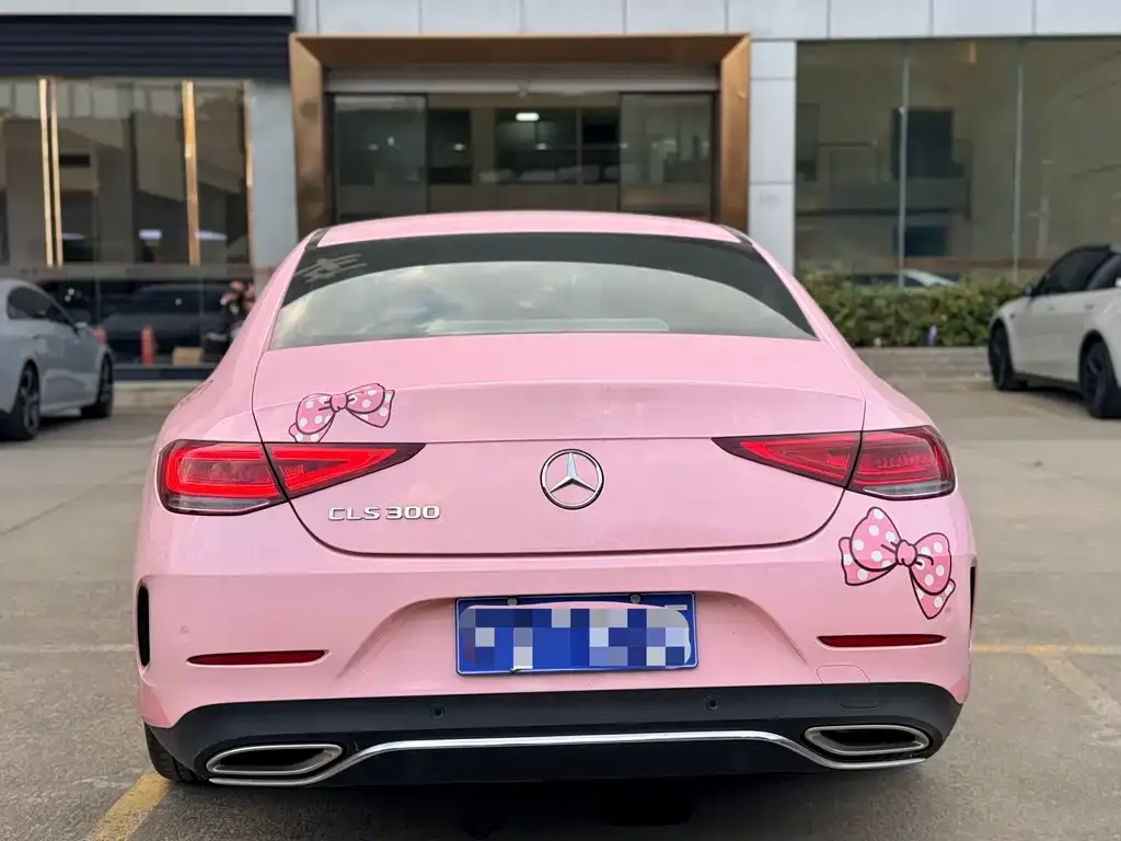 Mercedes-Benz CLS 2021 из CN, фото 3