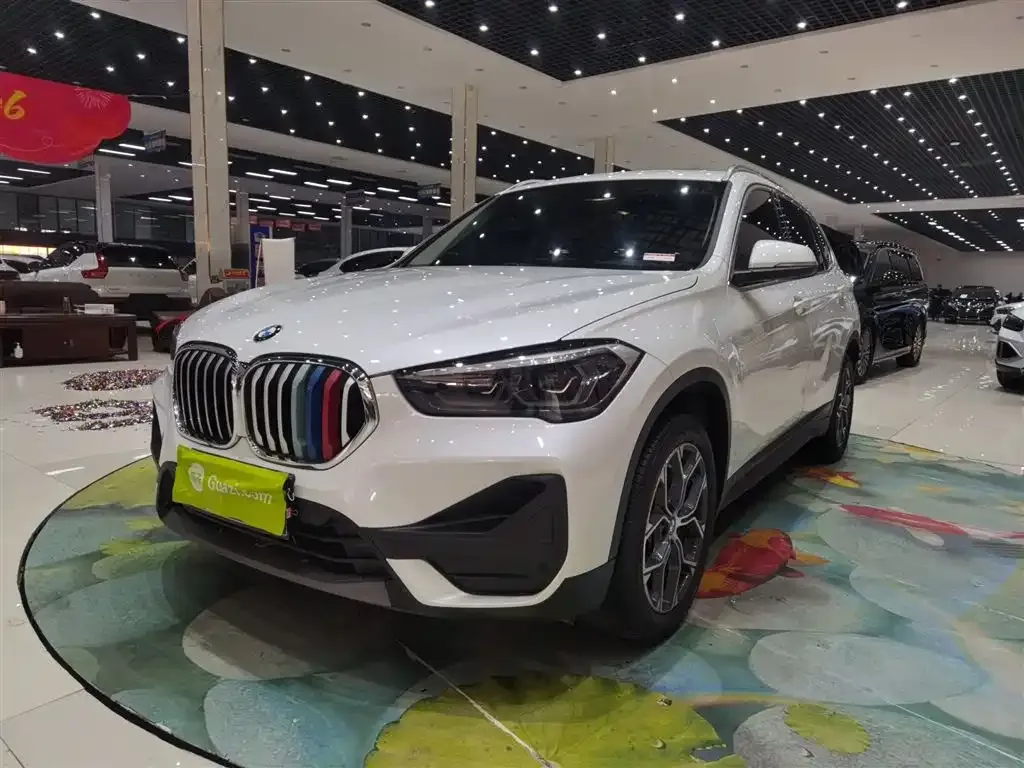 BMW X1 2022 из CN, фото 10