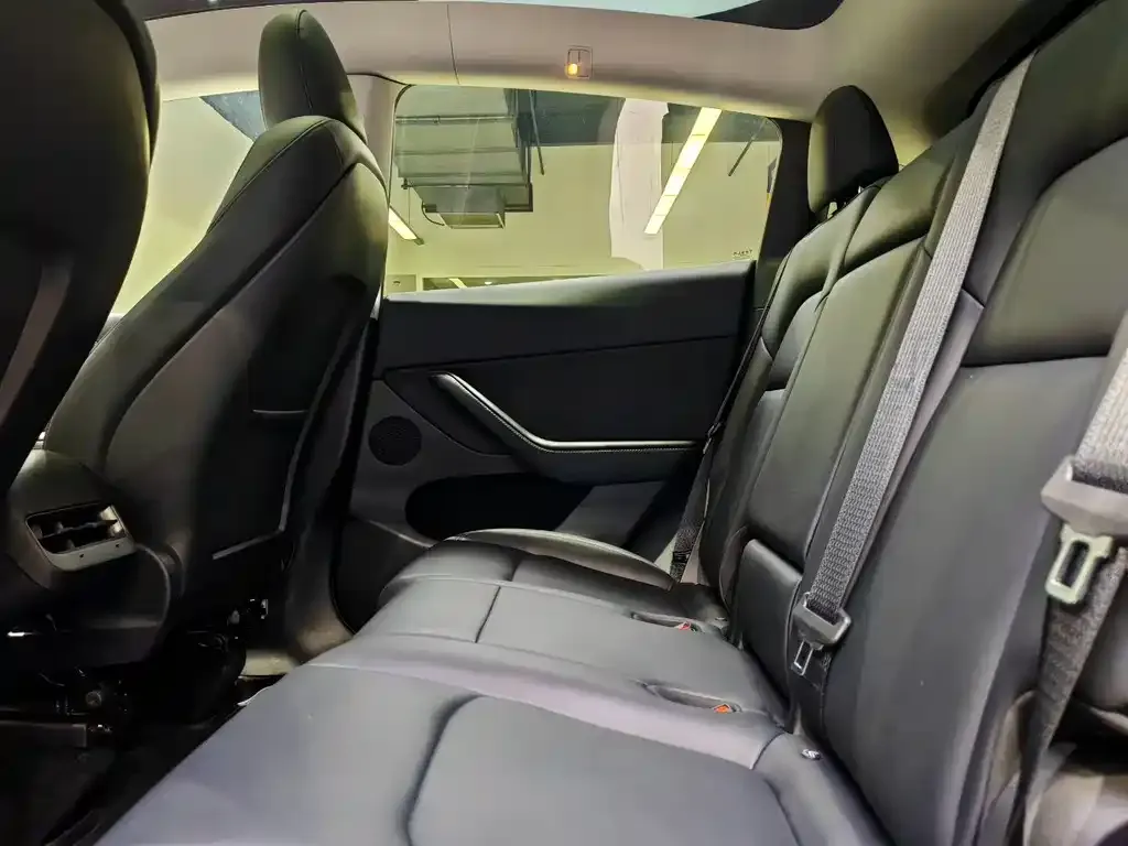 Tesla Model Y 2024 из CN, фото 6