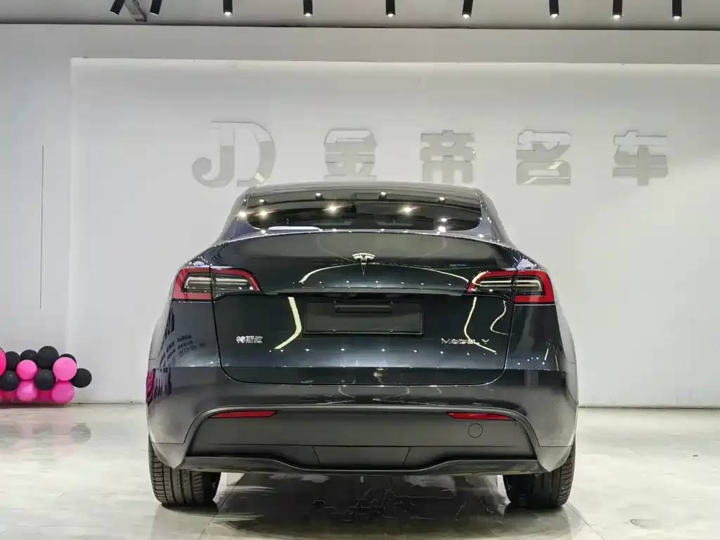 Tesla Model Y 2024 из CN, фото 2