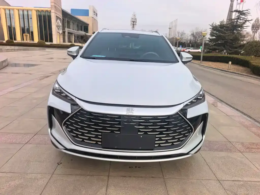 BYD Tang New Energy 2024 из CN, фото 1