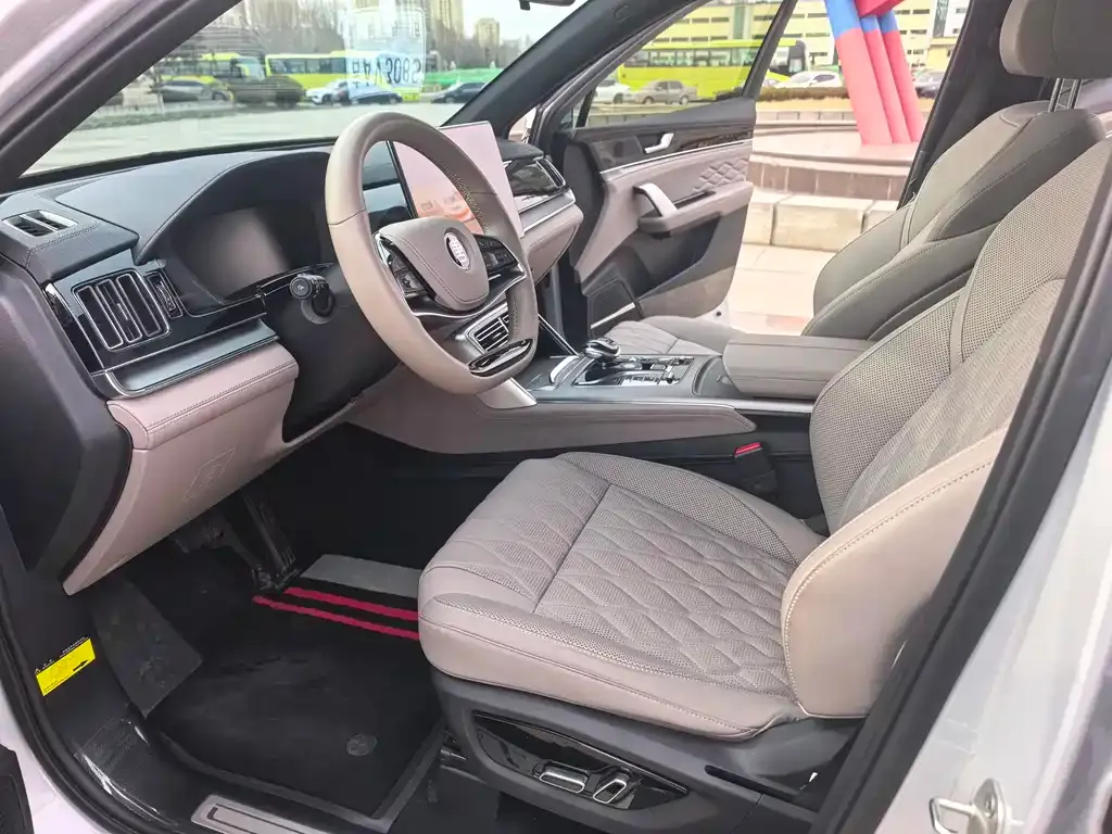 BYD Tang New Energy 2024 из CN, фото 10