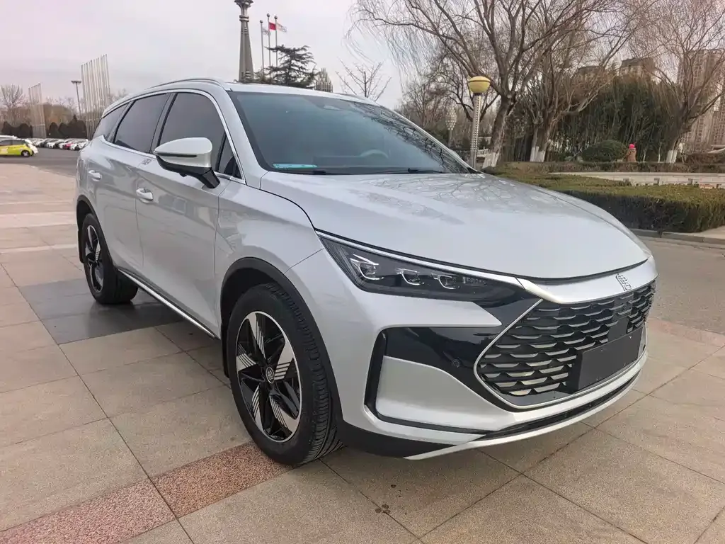BYD Tang New Energy 2024 из CN, фото 5