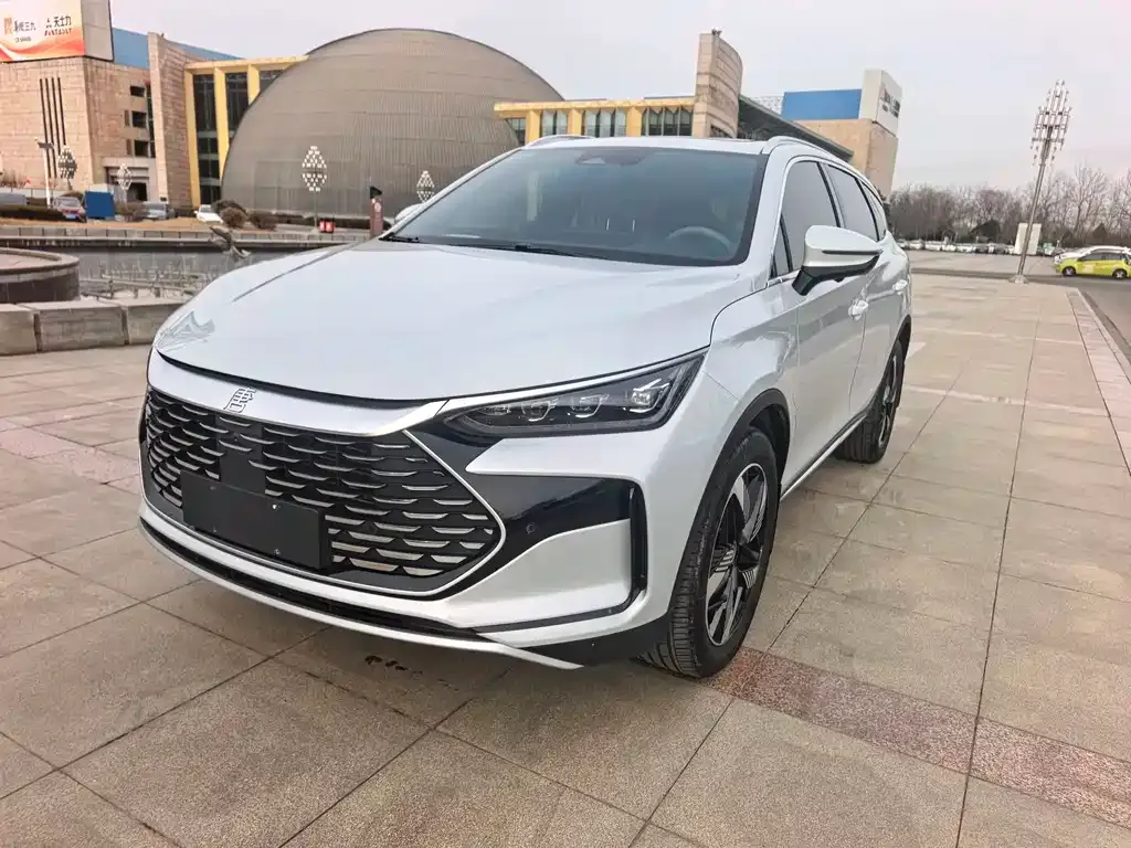 BYD Tang New Energy 2024 из CN, фото 8