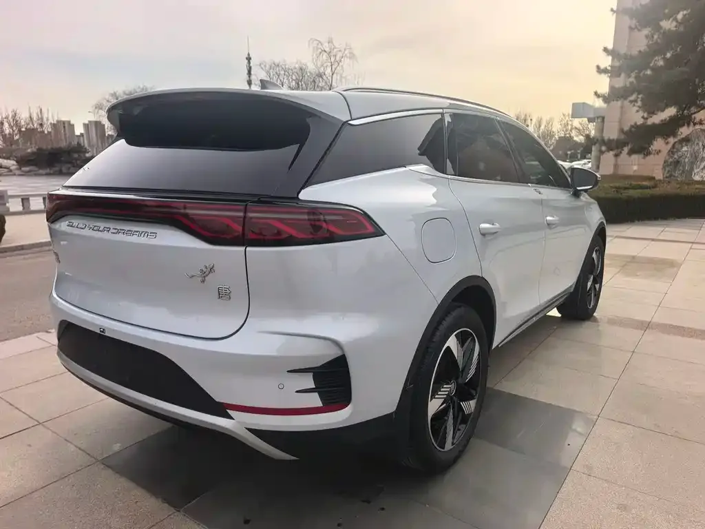 BYD Tang New Energy 2024 из CN, фото 2