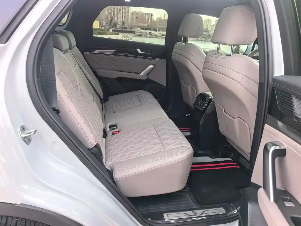 BYD Tang New Energy 2024 из CN, фото 6