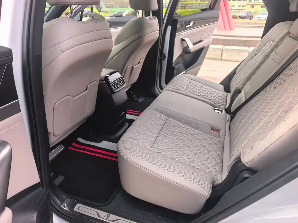 BYD Tang New Energy 2024 из CN, фото 4