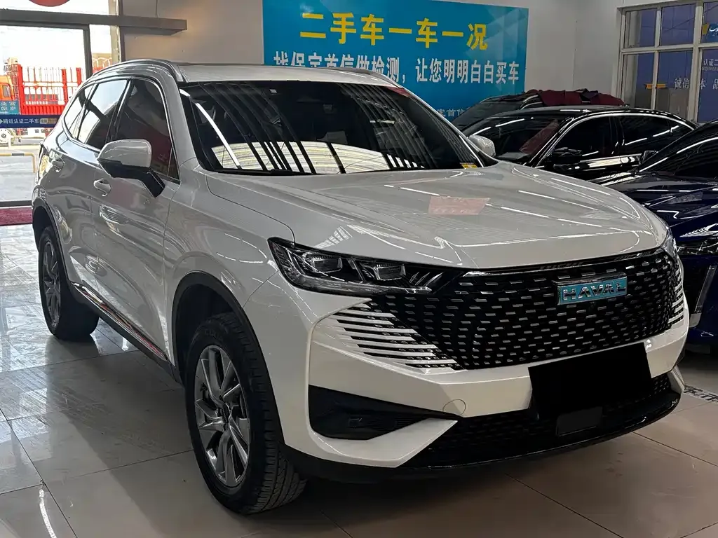 Haval H6 New Energy 2022 из CN, фото 3