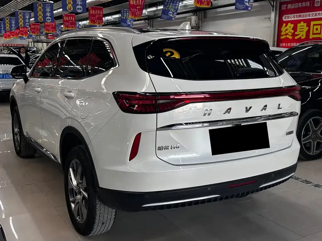 Haval H6 New Energy 2022 из CN, фото 5