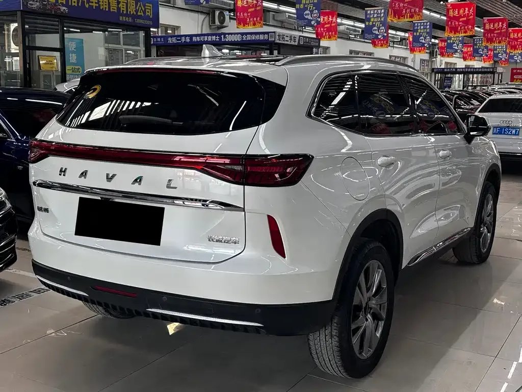 Haval H6 New Energy 2022 из CN, фото 8