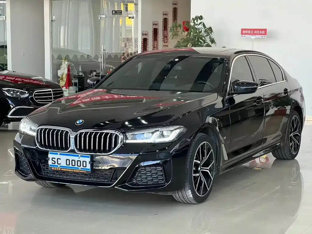 BMW 5 Series 2022 из CN, фото 1