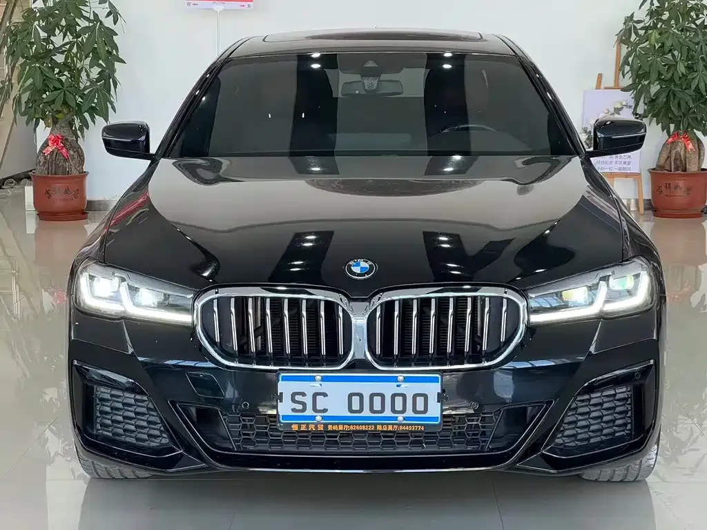 BMW 5 Series 2022 из CN, фото 8