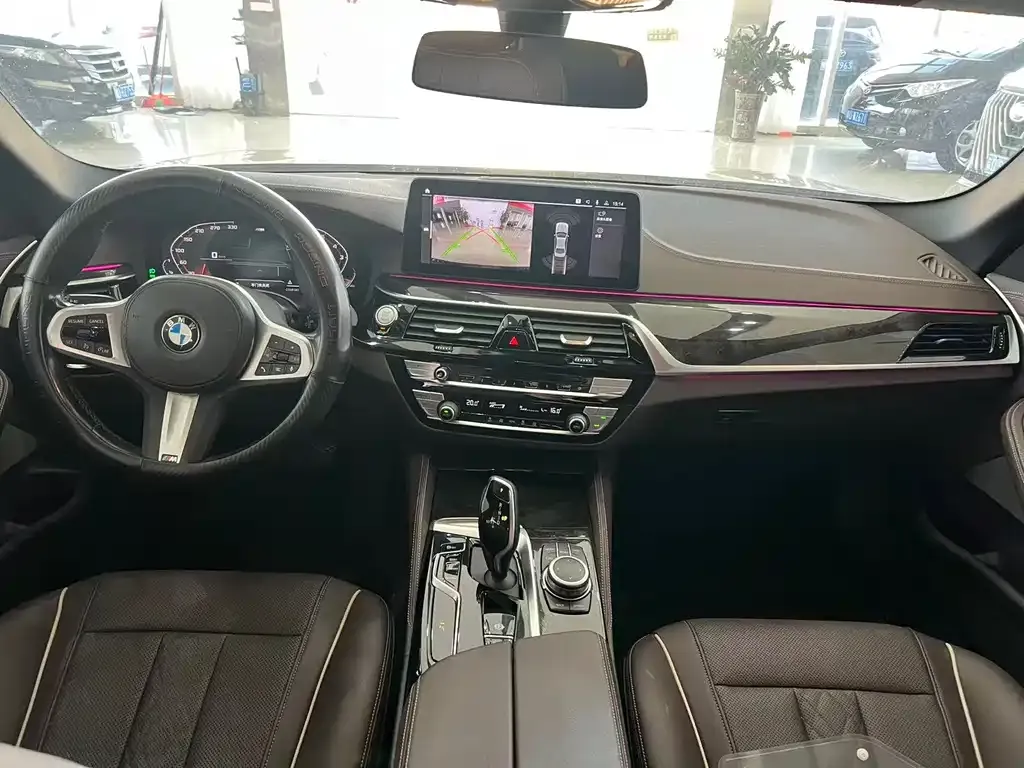 BMW 5 Series 2022 из CN, фото 7