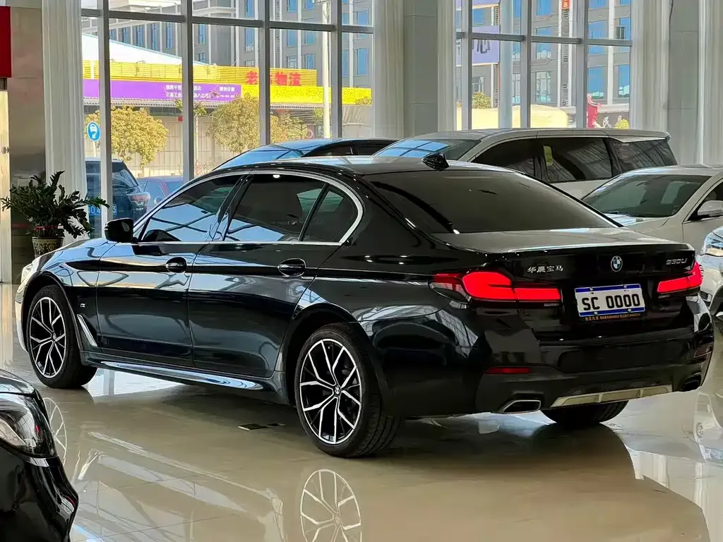 BMW 5 Series 2022 из CN, фото 9
