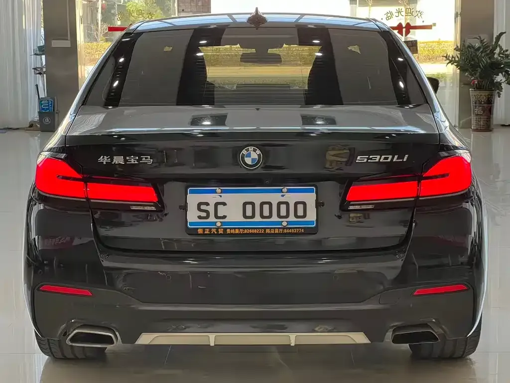 BMW 5 Series 2022 из CN, фото 2
