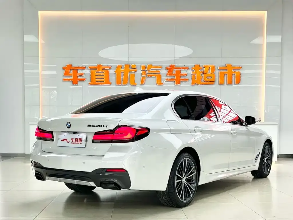 BMW 5 Series 2022 из CN, фото 10