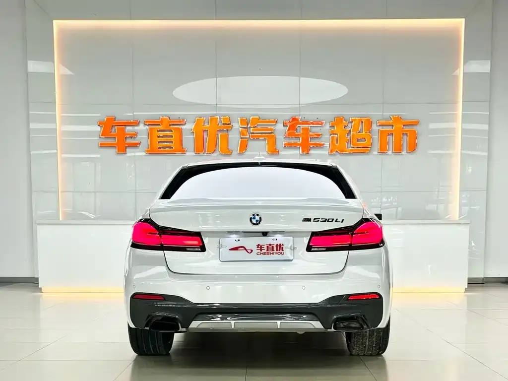BMW 5 Series 2022 из CN, фото 7