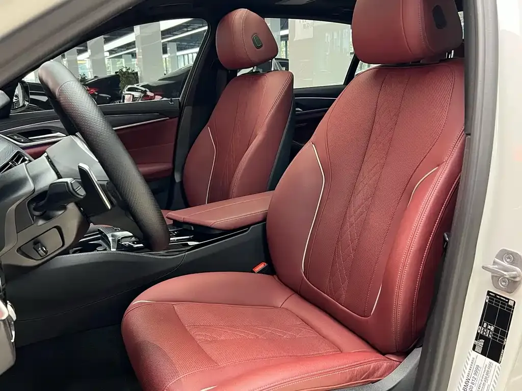 BMW 5 Series 2022 из CN, фото 5