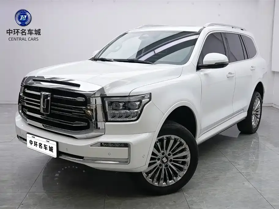 Tank 500 New Energy 2024 из CN, фото 1