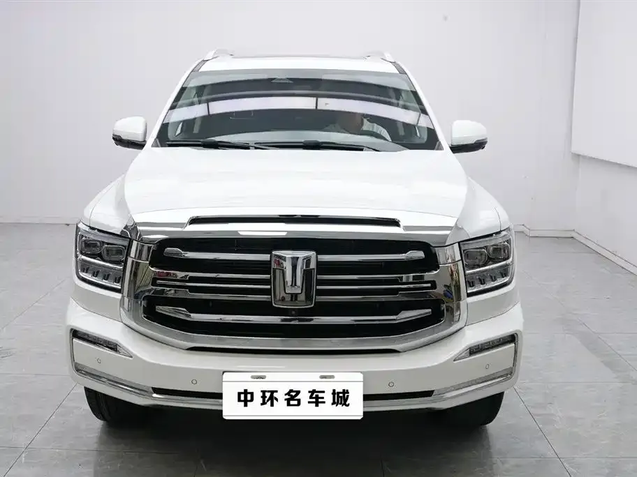 Tank 500 New Energy 2024 из CN, фото 3