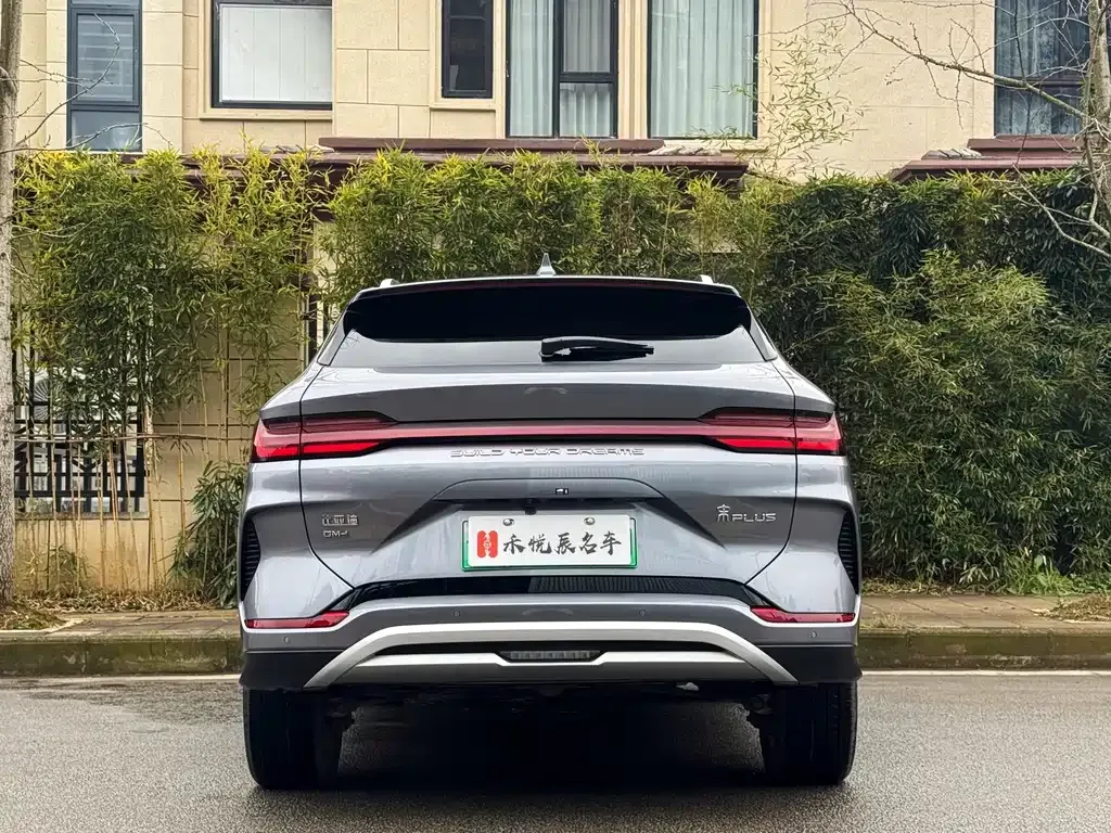BYD PLUS New Energy — фото 8