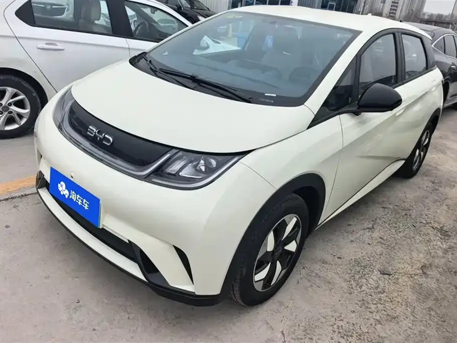 BYD Dolphin 2025 из CN, фото 1