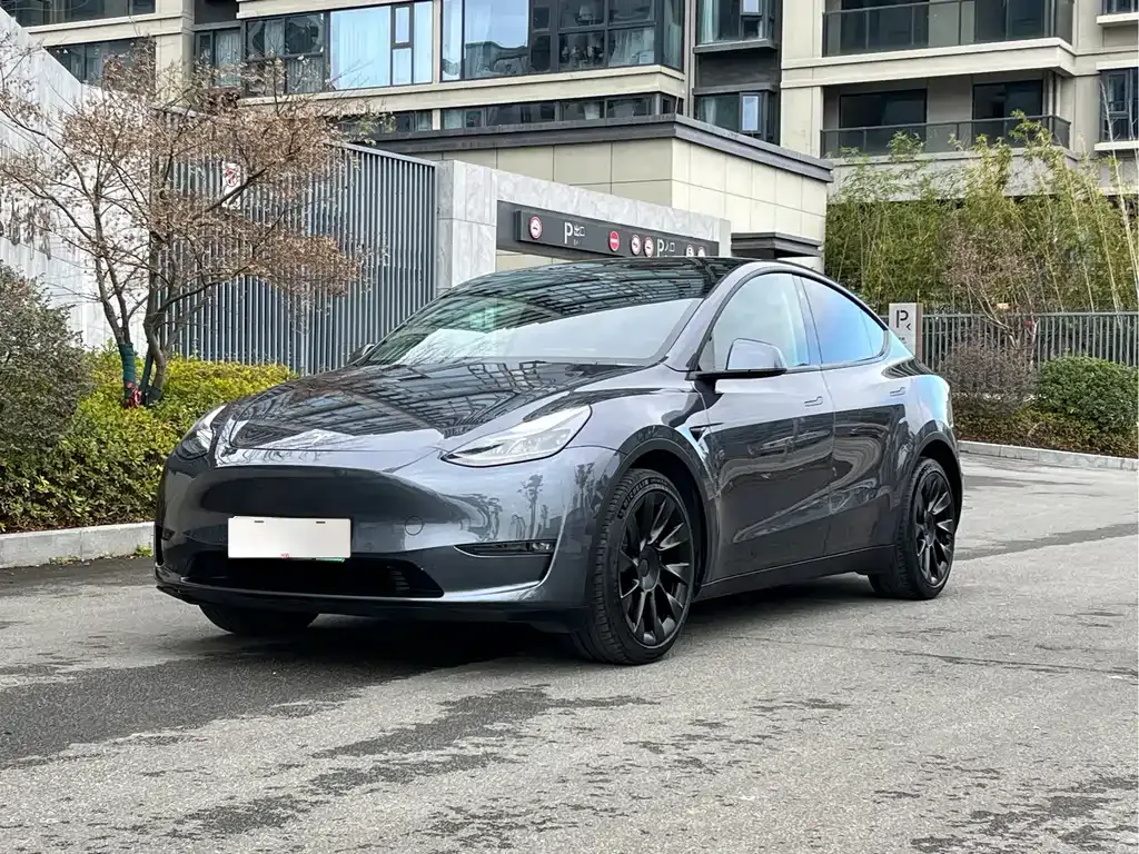 Tesla Model Y 2021 из CN, фото 1